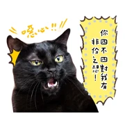 DIY message with Baiji (Photo images)