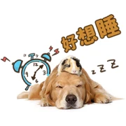 Pet’s Murmur Time Pet’s Murmur Time