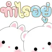 Micool & Taicutie Pop-Ups