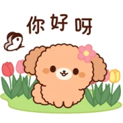 Gentle Toy Poodle (Spring, Early Summer)