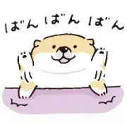 SHIBANBAN × LINE NEWS