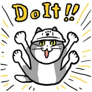 Impulsive Work Cat