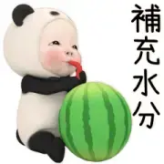 Panda Towel Summer Daily