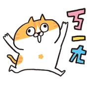 Meowow Park: Let’s Get Crazy Together