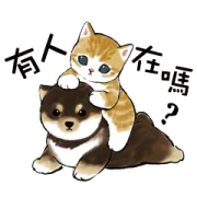 Shiba and Nyan