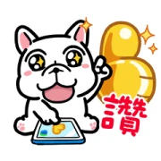 LINE Bank × Co-Blue Special Celebration LINE Bank × Co-Blue Special Celebration