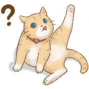 Cat’s Lifestyle Effect Stickers