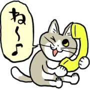 Chatty Phone Cat