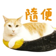 Fumeancats-Happy Cats Happy Life