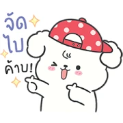 Shiro Chubby Cute Dog
