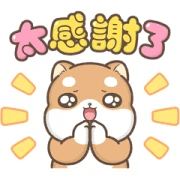 Brand Commerce × Shiba Pipi Brand Commerce × Shiba Pipi
