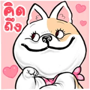 KAKI Big Stickers KAKI Big Stickers
