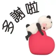 Panda Towel Dialect Panda Towel Dialect
