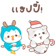 Let’s Celebrate with Vayu & Oh mild Meow Let’s Celebrate with Vayu & Oh mild Meow