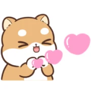 LINE VOOM × Shiba Inu Pipi LINE VOOM × Shiba Inu Pipi