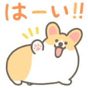 1corgi × LINE Doctor LINE WhatsApp Sticker GIF PNG 1corgi × LINE Doctor LINE WhatsApp Sticker GIF PNG
