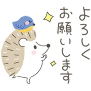 hedgehog × DomohornWrinkle hedgehog × DomohornWrinkle