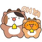 Sanfa cat- Elk Cats for Christmas Sanfa cat- Elk Cats for Christmas