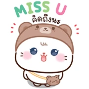 Cat Beary : Cute every day