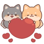 Shiba Brothers (Pop-Ups) Shiba Brothers (Pop-Ups)