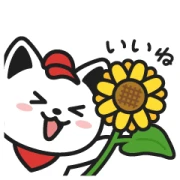Demaenyan Stickers summer Demaenyan Stickers summer