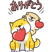 BIG! SHIBANBAN × POINCO BIG! SHIBANBAN × POINCO