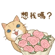 Cat's Lifestyle Tanabata Messages Cat's Lifestyle Tanabata Messages
