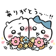 Chiikawa × POINCO Chiikawa × POINCO