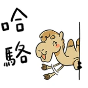 CAMEL Chan’s Daily Life