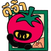 Erdytomeowto