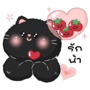 Tomato cat : Daily words Tomato cat : Daily words