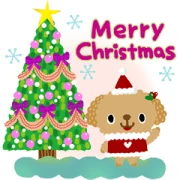 Picture Book TOY POODLE Xmas & New Year