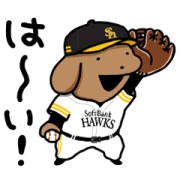 Little dog KOINU × PayPay Bank